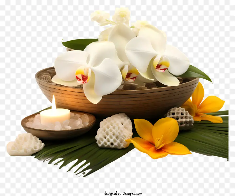 Flores Tropicais，Vela E Folha PNG