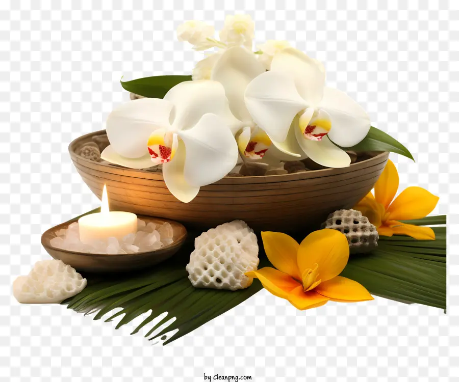 Orquídeas Brancas，Tigela PNG