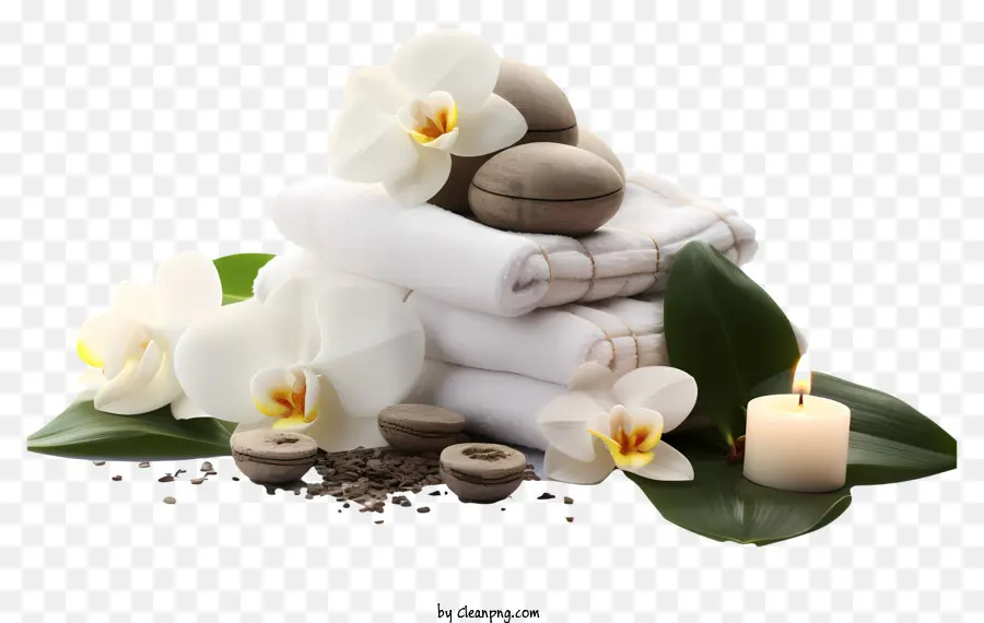 Toalhas Brancas，Vaso De Orquídeas Brancas PNG