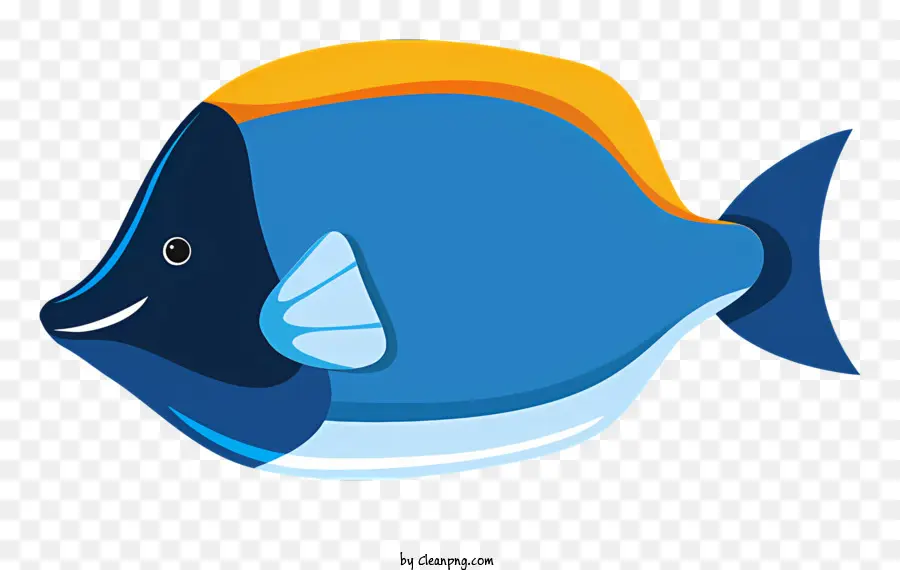 Peixe Azul，Peixe Amarelo PNG
