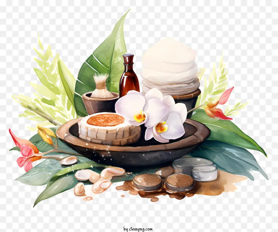 Ingredientes De Spa，Itens De Spa PNG