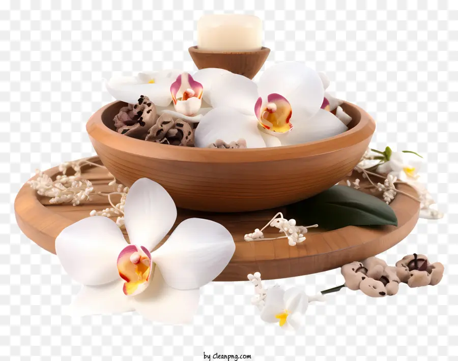 Bandeja De Madeira，Orquídeas Em Tigela PNG