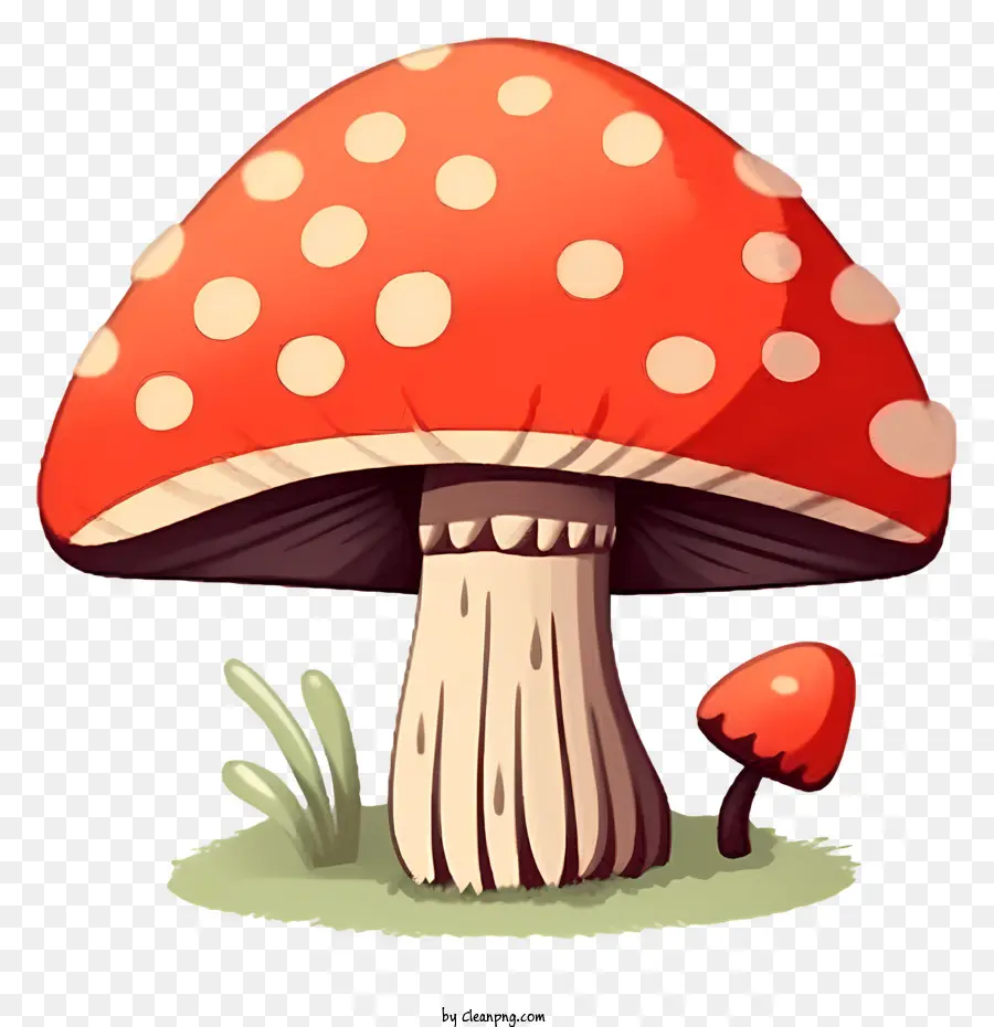 Toadstool，Cogumelo PNG