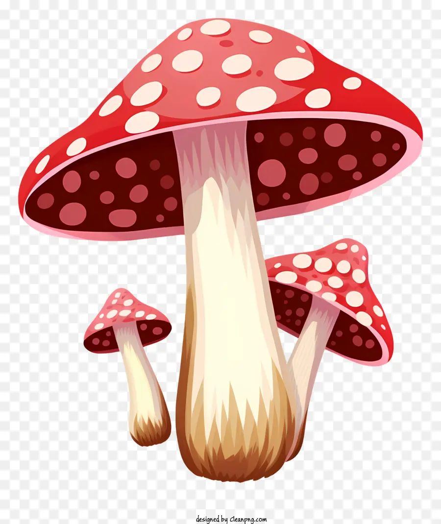 Cogumelos，Grupo De Cogumelos PNG