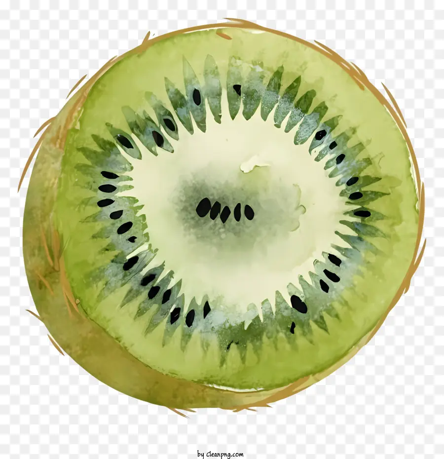 Pintura De Frutas Kiwi，Fruta Kiwi Realista PNG