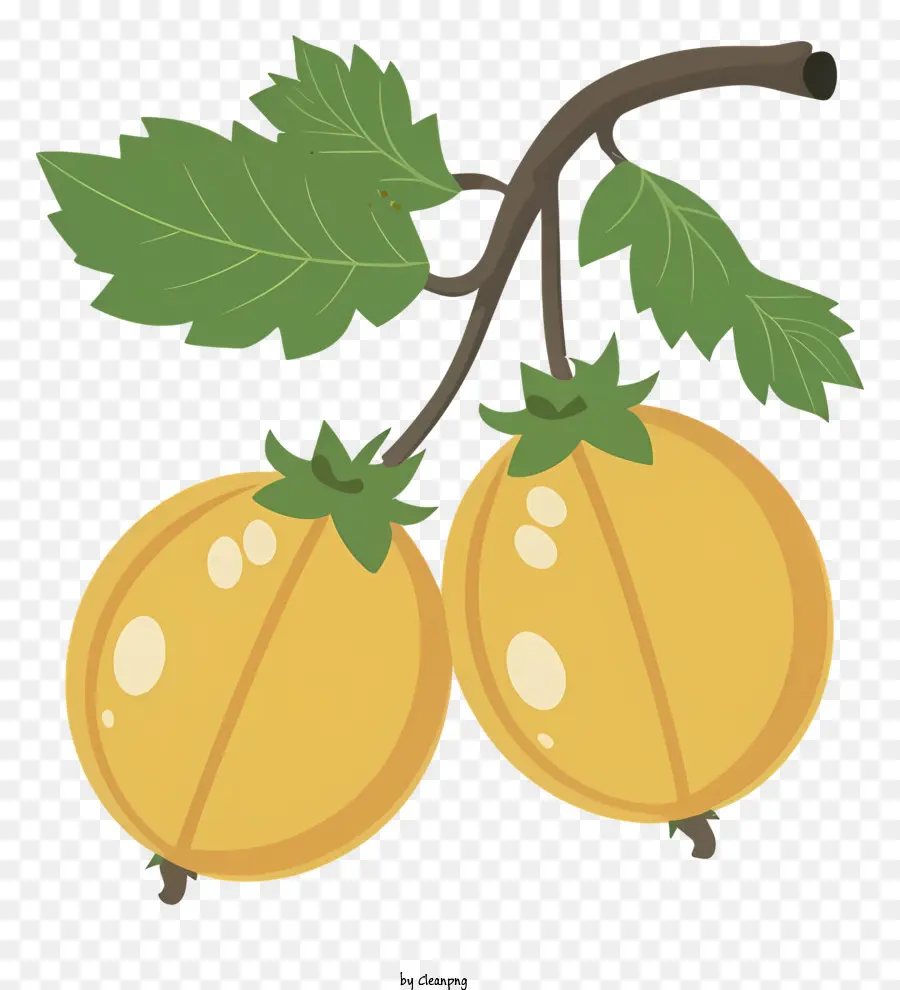 Cabaças，Gourds Maduros PNG