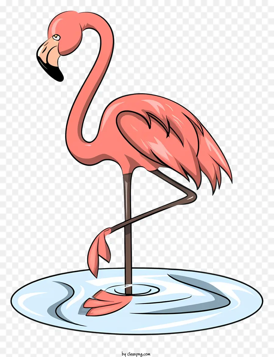 Cor De Rosa Flamingo，Flamingo Bird PNG