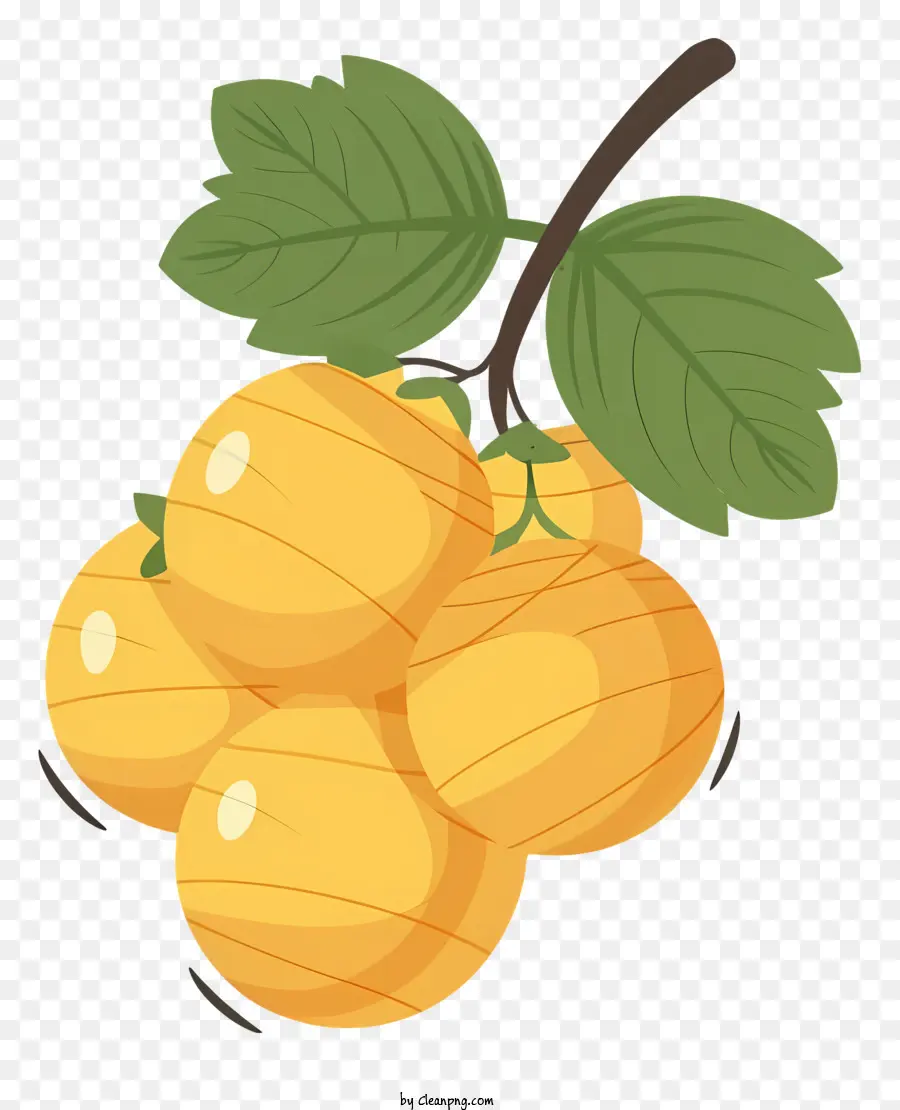 Cartoon Uvas，Vinha PNG