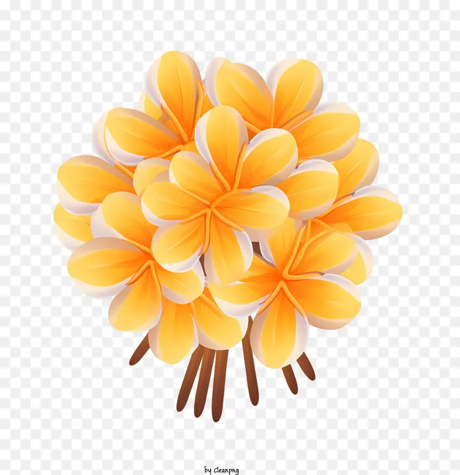 Plumeria Flor，Buquê PNG