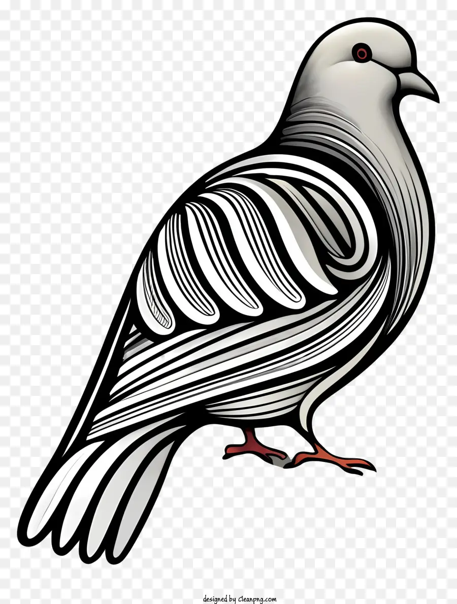 Aves，Pássaro Preto E Branco PNG