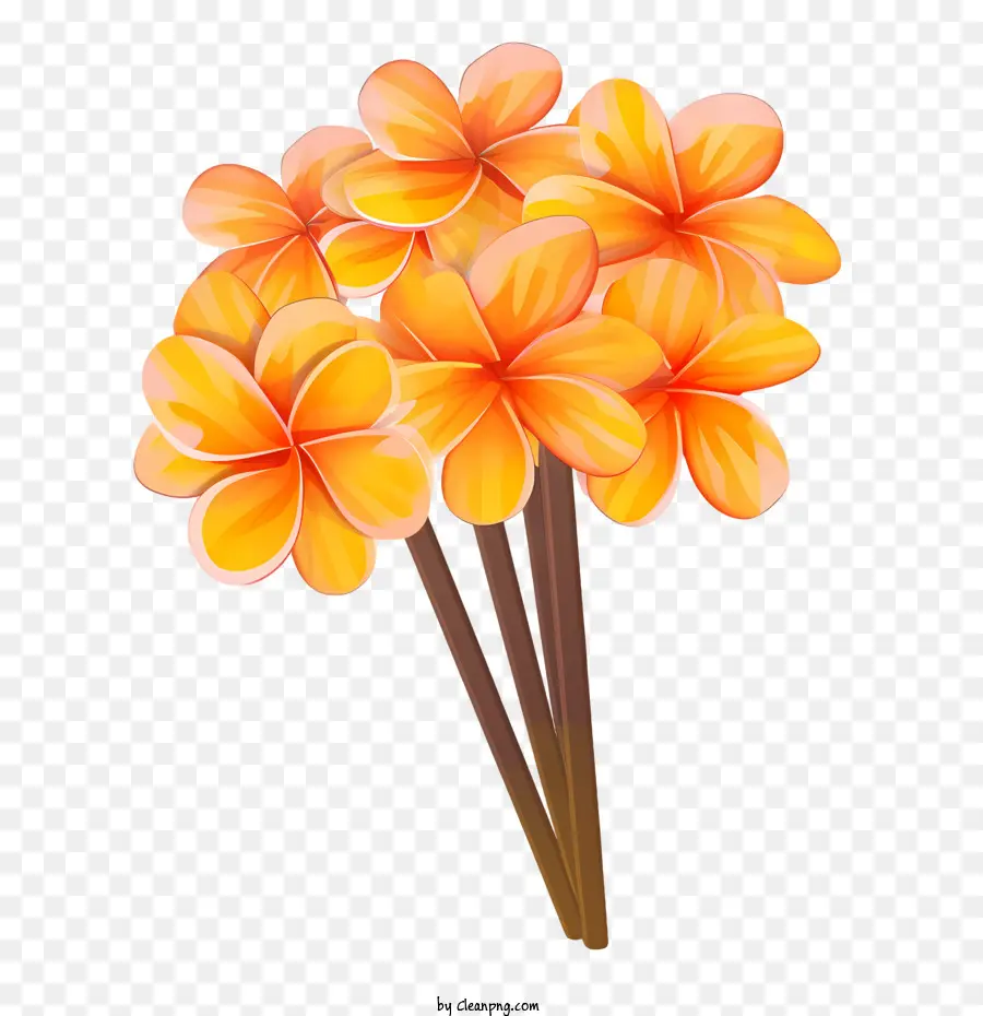 Plumeria Flor，Flores PNG