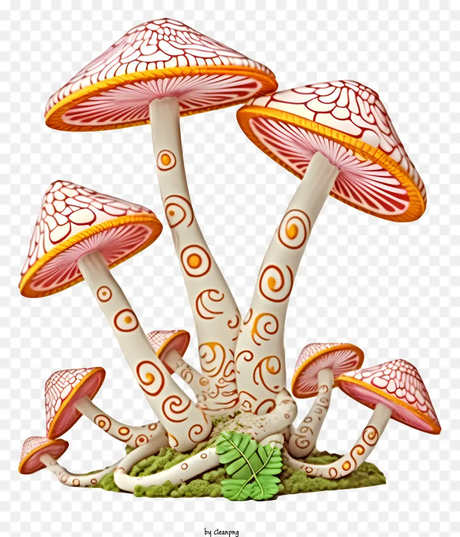 Cogumelos，Padrões De PNG