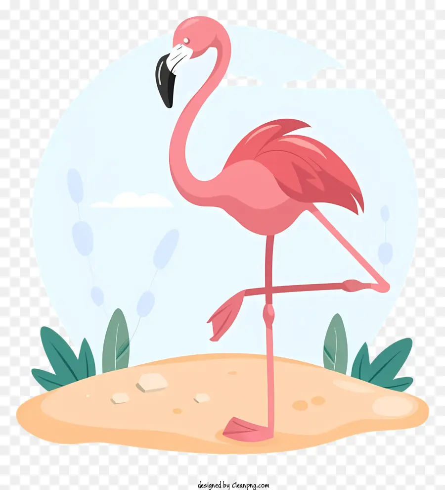 Flamingo Rosa，Flamingo PNG