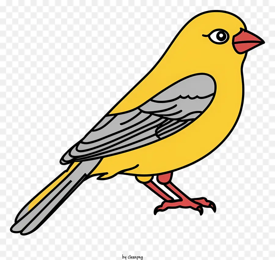 Pássaro Amarelo，Bico Preto PNG