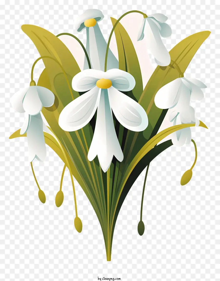 Snowdrops，Início Da Primavera Flores PNG