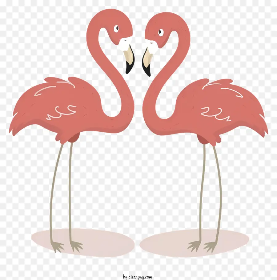 Flamingos，Flamingos Cor De Rosa PNG