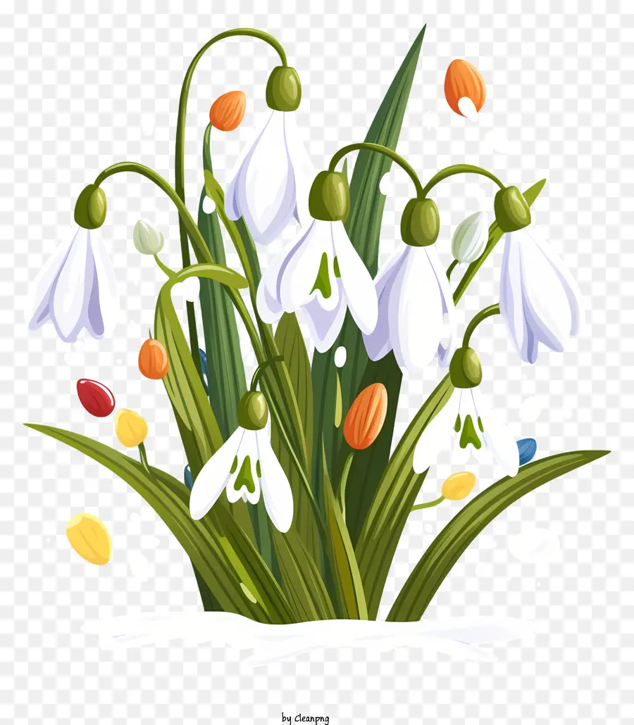 Snowdrops，Doces De Chocolate PNG