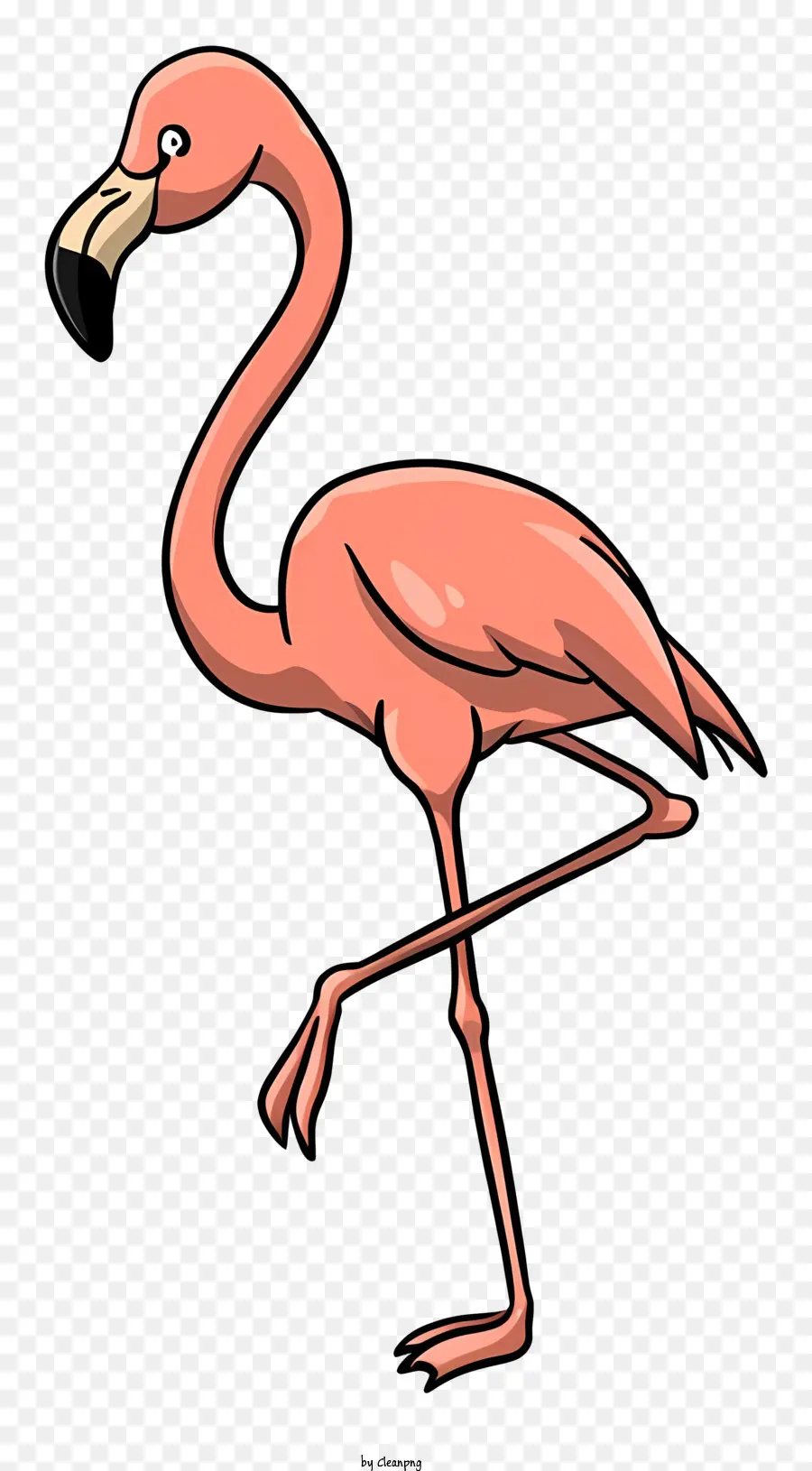 Cor De Rosa Flamingo，Ficar Em Uma Perna PNG