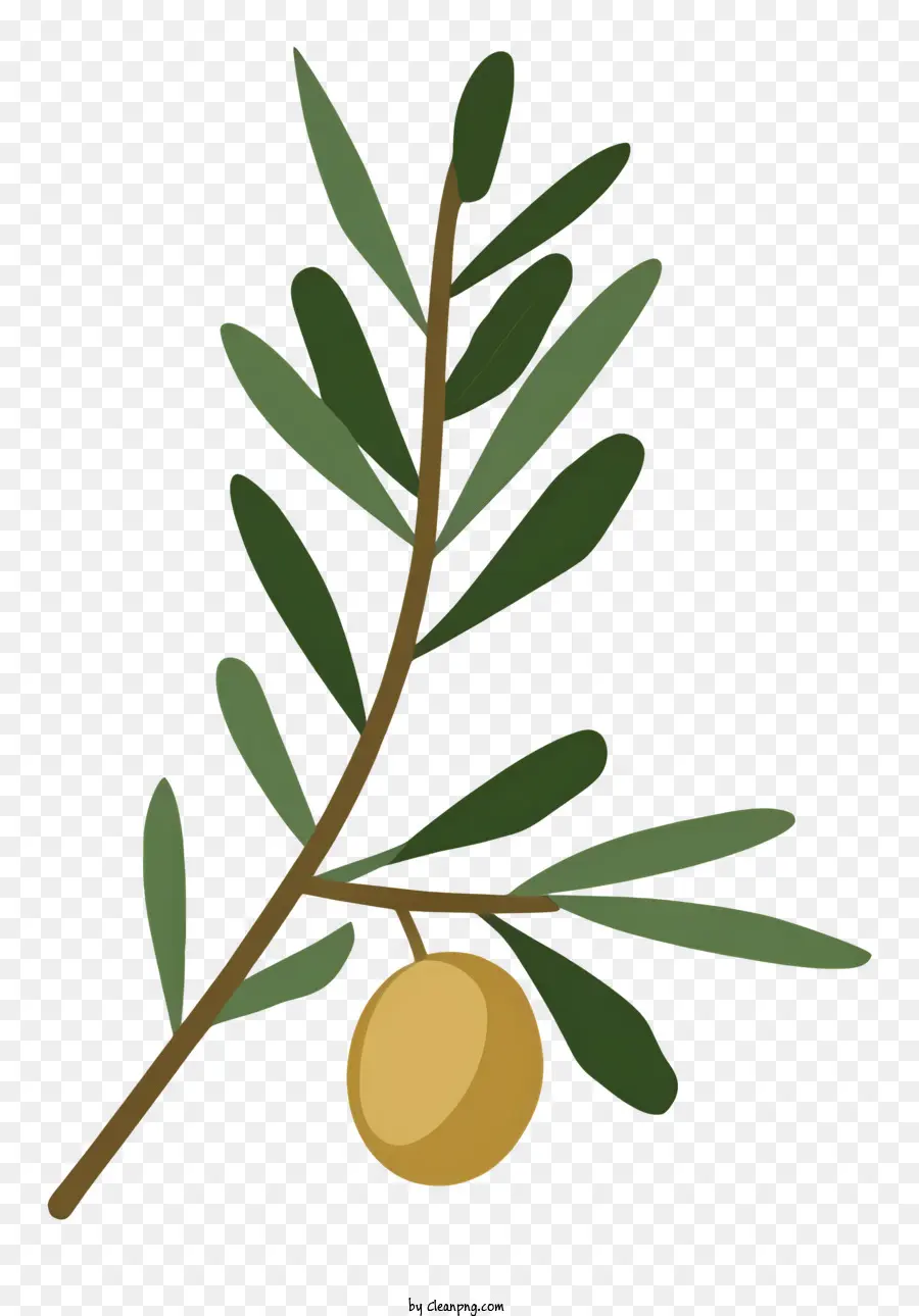 Olive Branch，Verde Oliva PNG