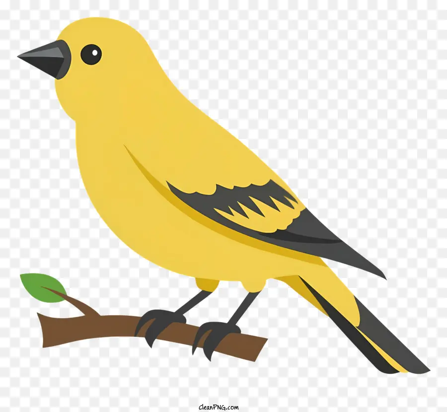 Pássaro Amarelo，Ramo De árvore PNG