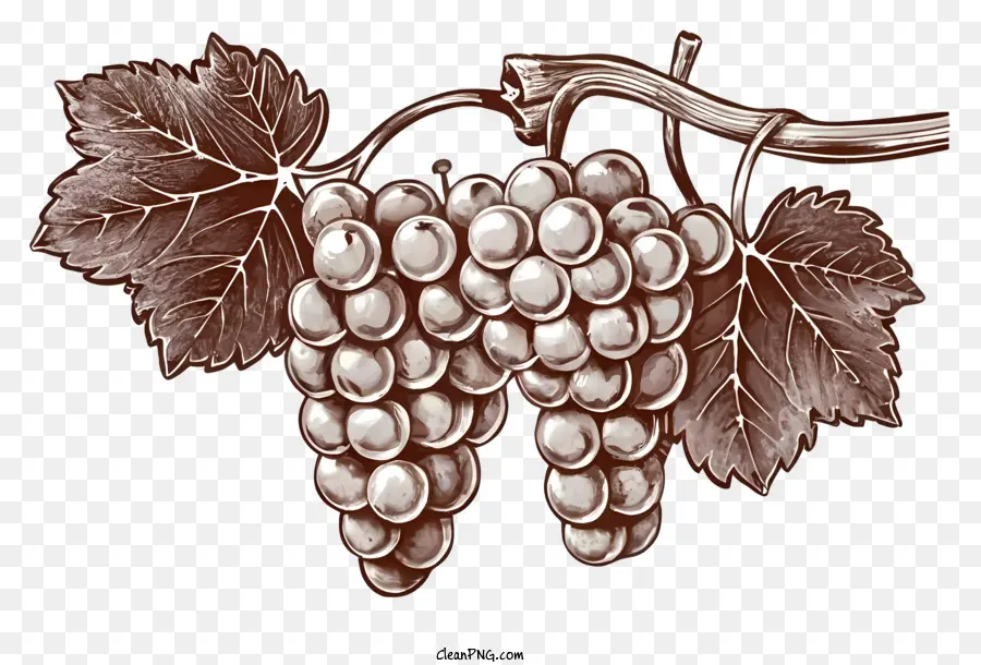 Cacho De Uva，Uvas PNG