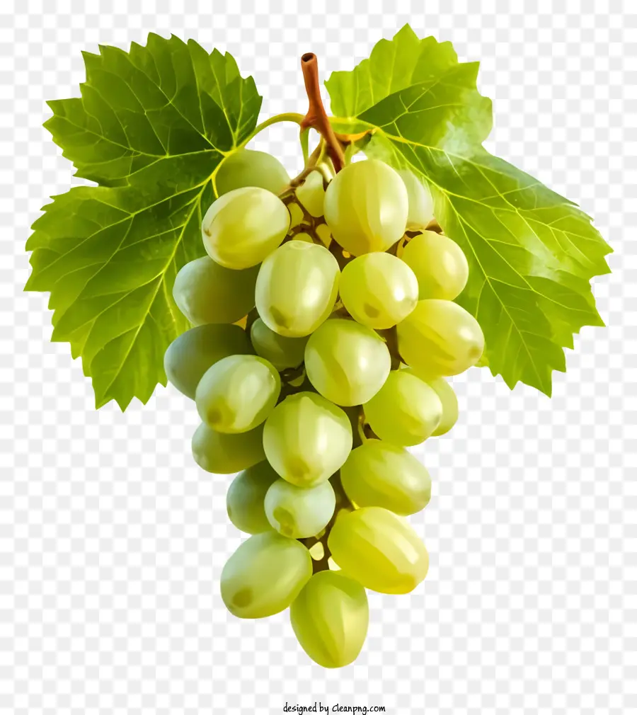 Verde Uvas，Cluster De Uvas PNG