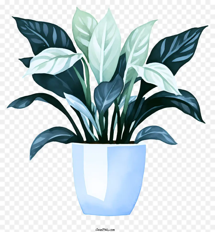Vaso De Flores De Cerâmica Branca，Folhas Verdes PNG