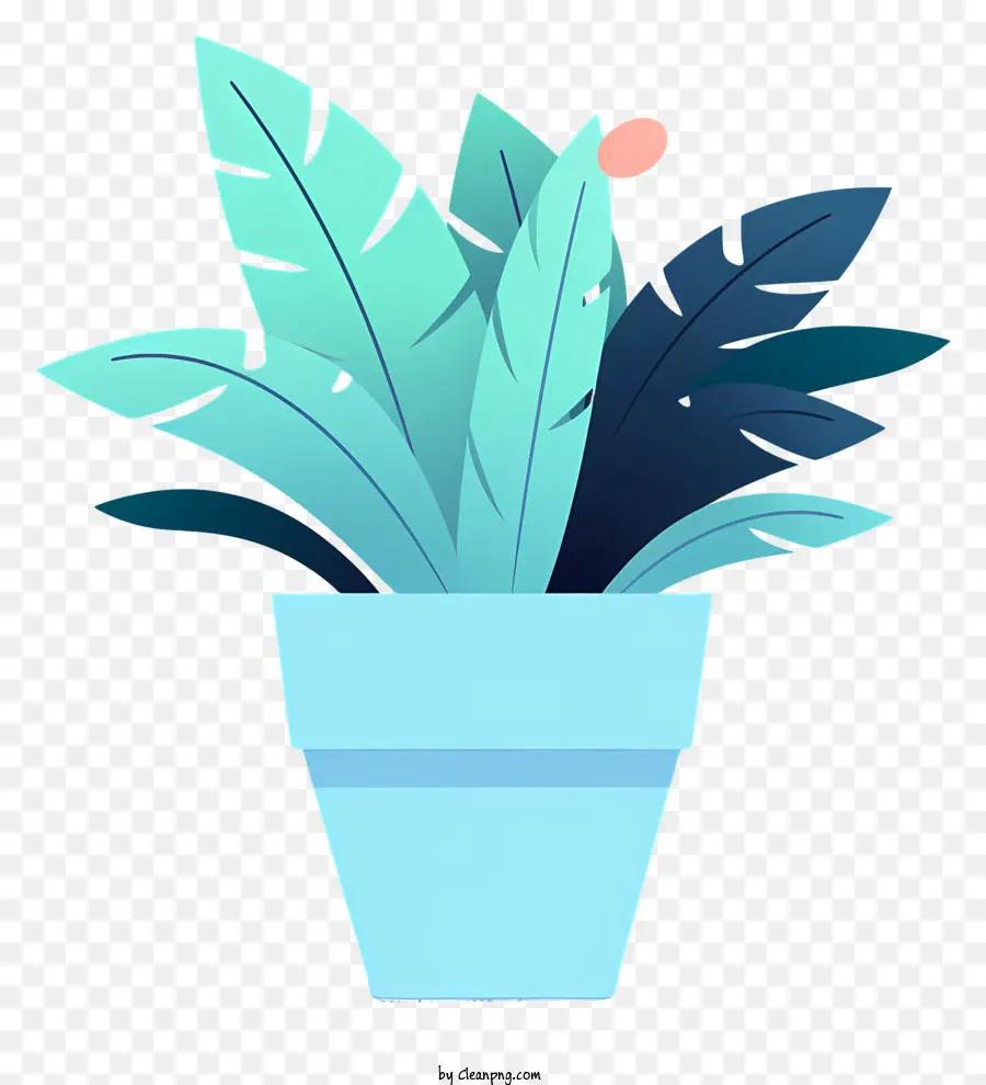 Planta Em Vaso，Interior PNG