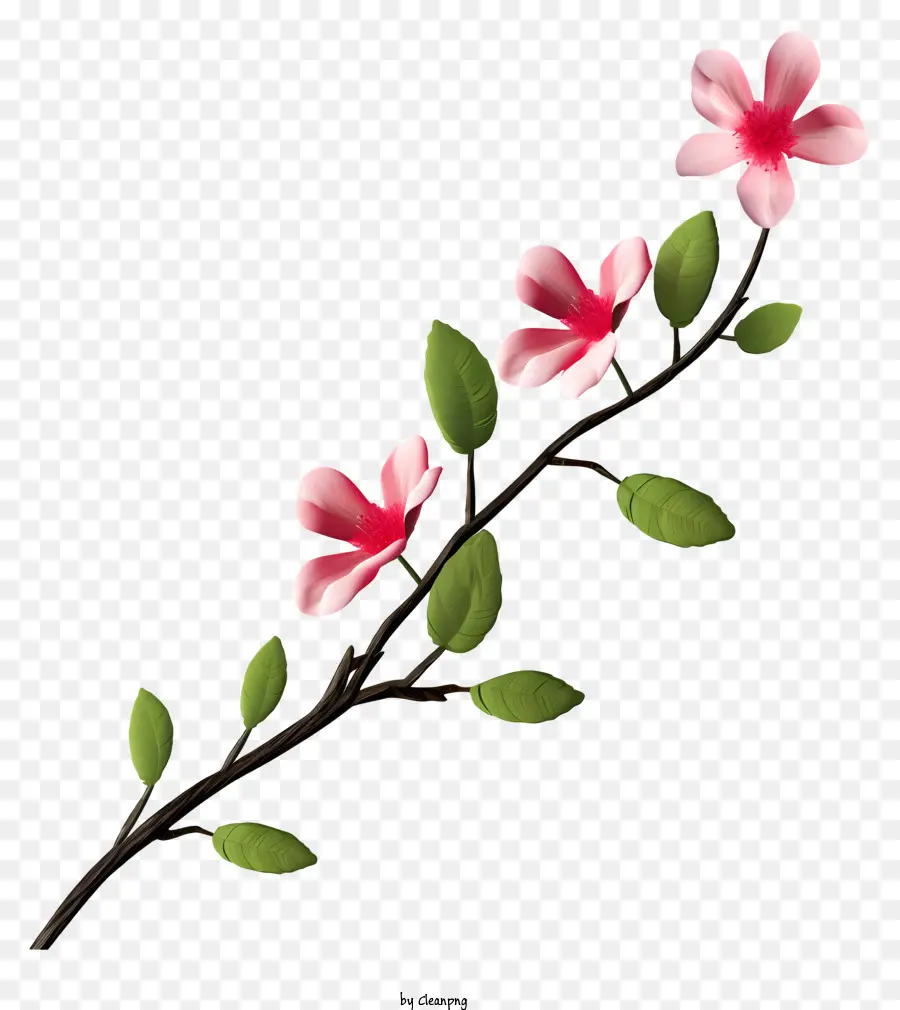 Flor De Cerejeira，Flores Desabrochando PNG