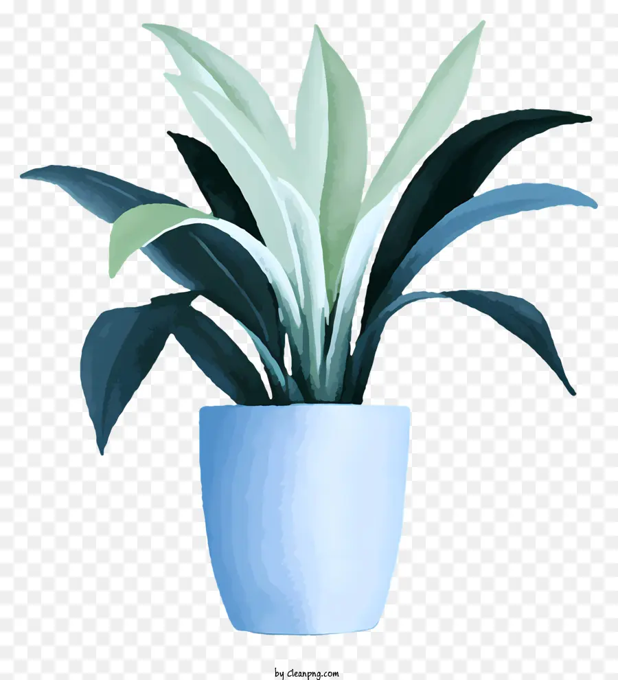 Planta Em Um Vaso Azul，Folhas Verdes PNG