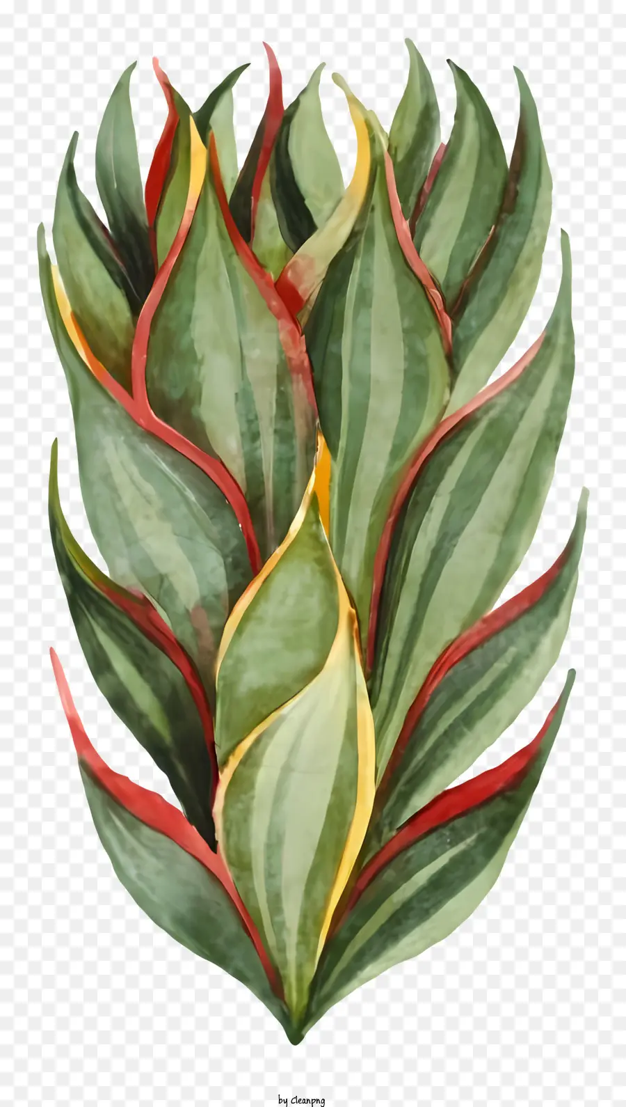 Planta Frondosa，Folhas Longas PNG