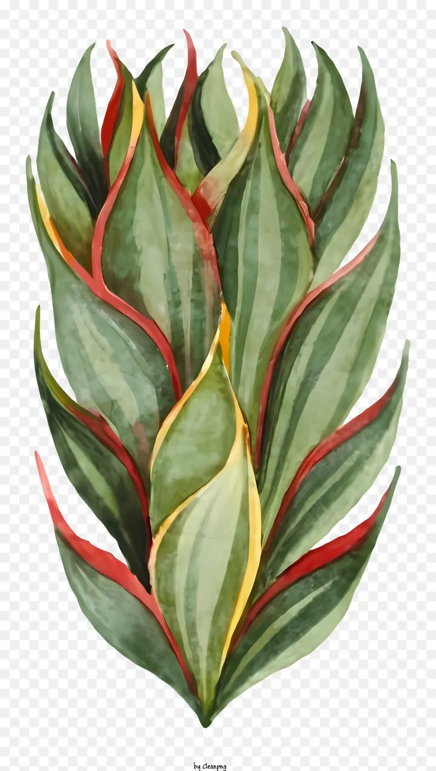 Planta Frondosa，Planta Verde PNG