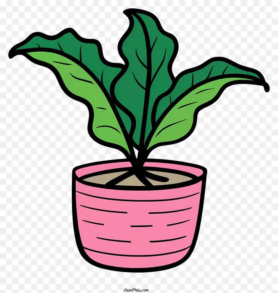 Planta De Vaso，Cor De Rosa Pote PNG