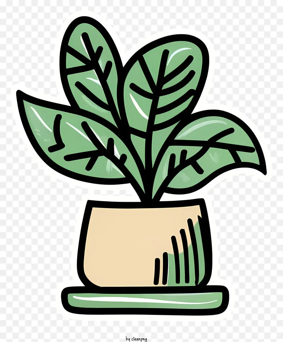 Planta De Vaso，Planta De Folhas Verdes PNG
