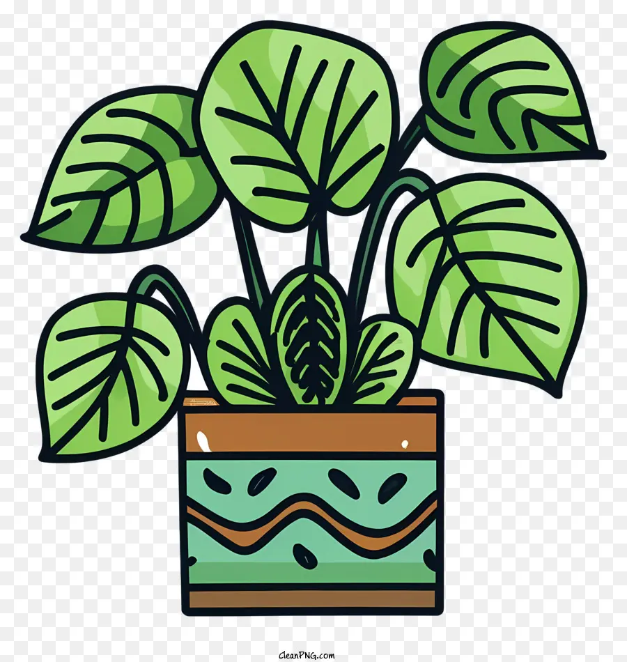 Desenho De Planta Colorida，Planta Em Vaso PNG