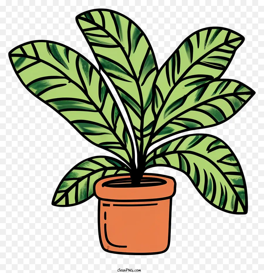 Grande Planta Em Vasos，Folhas Verdes PNG