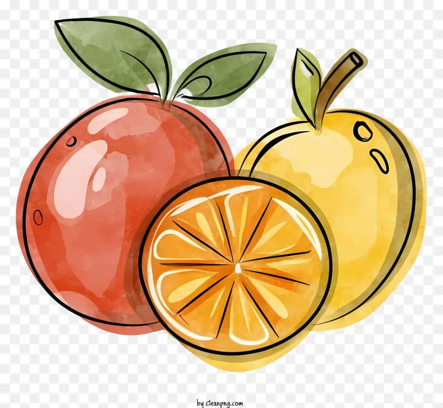 Ilustração Em Aquarela，Fruits PNG