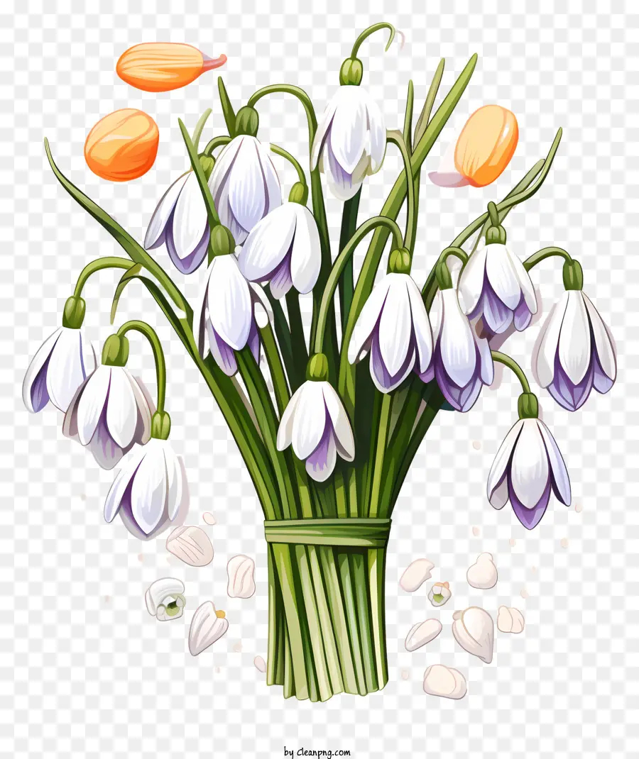 Snowdrops，Buquê PNG