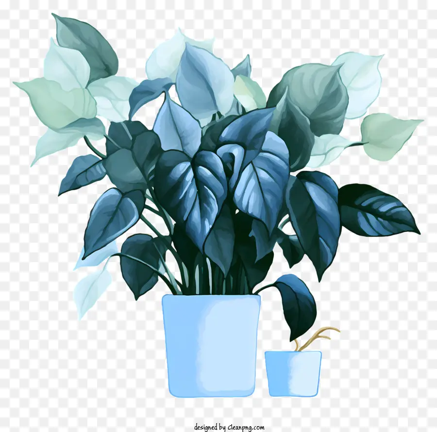 Vaso Azul，Plantas Verdes PNG