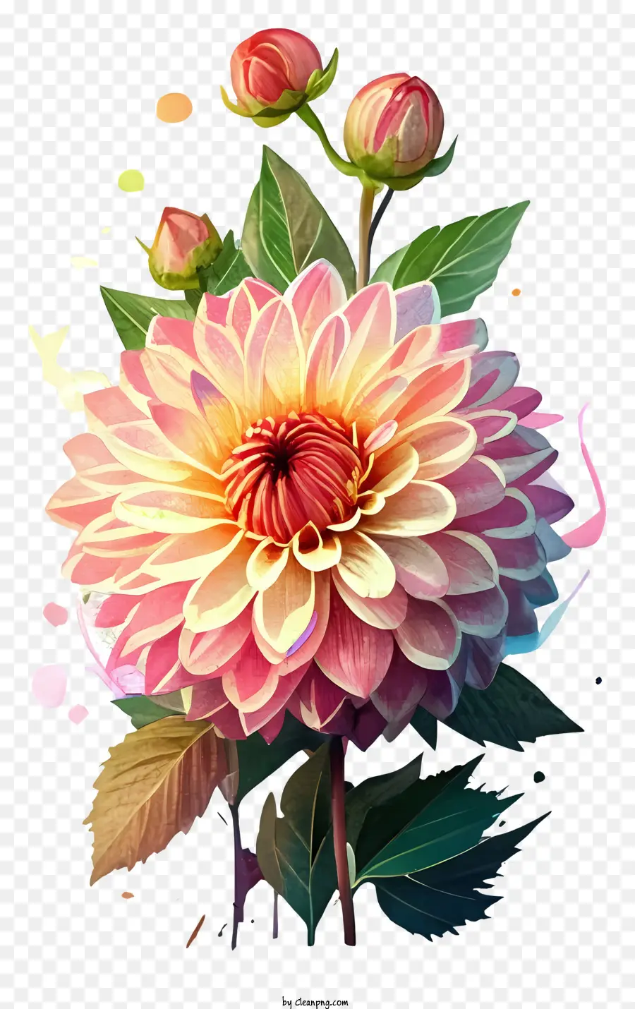 Flor Dahlia，Dahlia Vibrante PNG