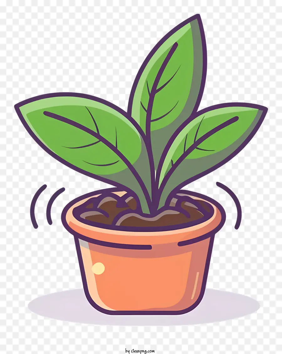 Planta De Vaso，Planta De Folhas Verdes PNG