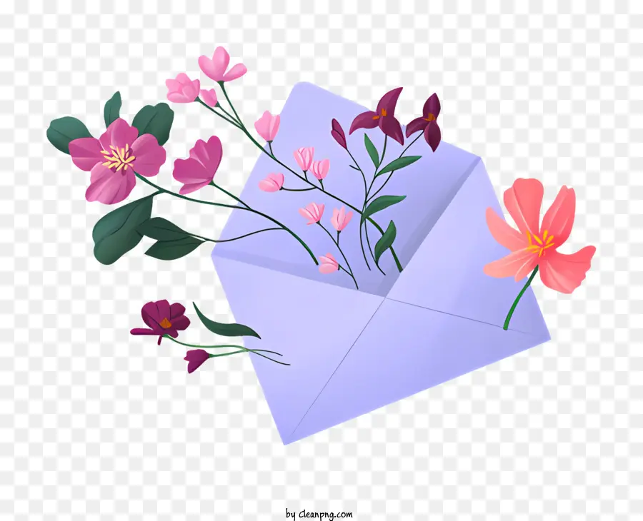 Carta Aberta，Flores Cor De Rosa PNG