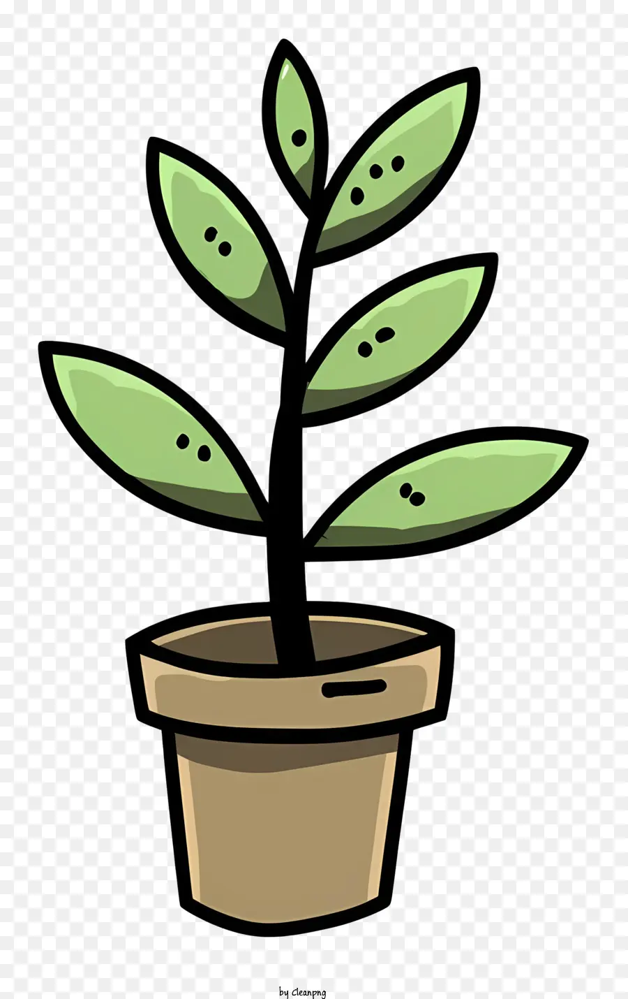 Pequena Planta Em Vasos，Folhas Verdes PNG