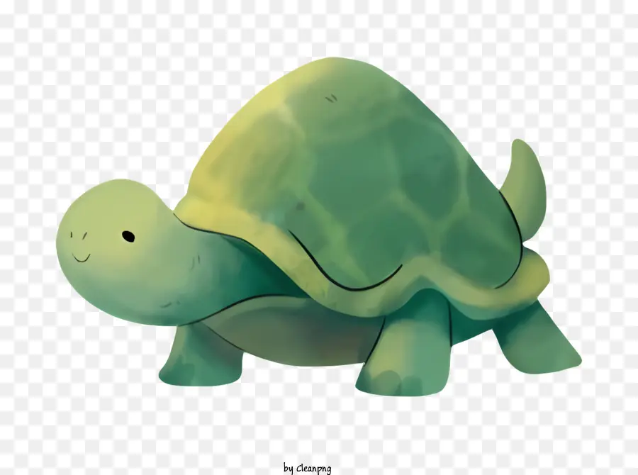 Turtle，Répteis PNG