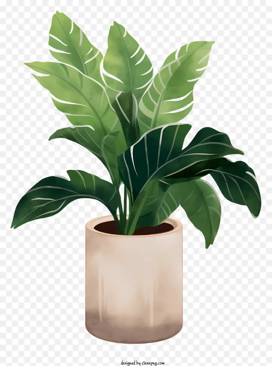 Um Vaso De Planta，Cerâmica PNG