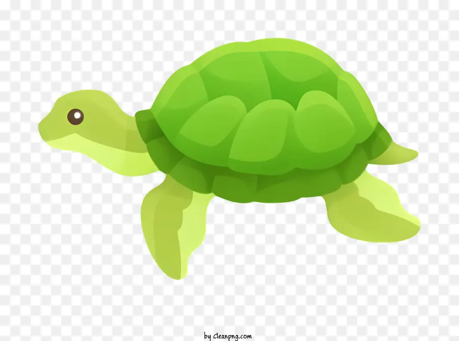 A Tartaruga Verde，Turtle PNG