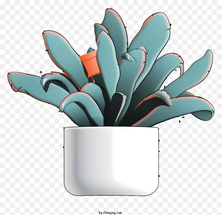 Planta Do Cacto，Vaso Branco PNG