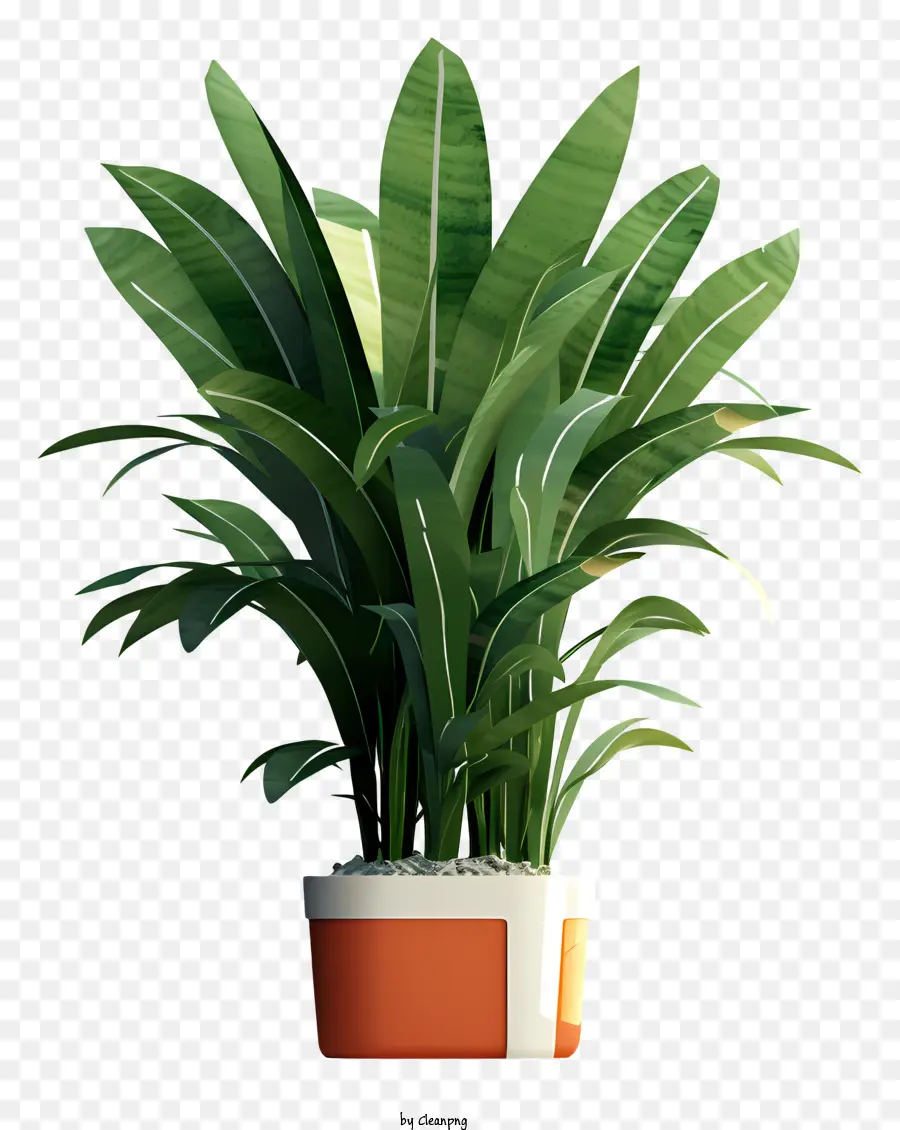 Planta De Vaso，Planta Verde E Laranja PNG