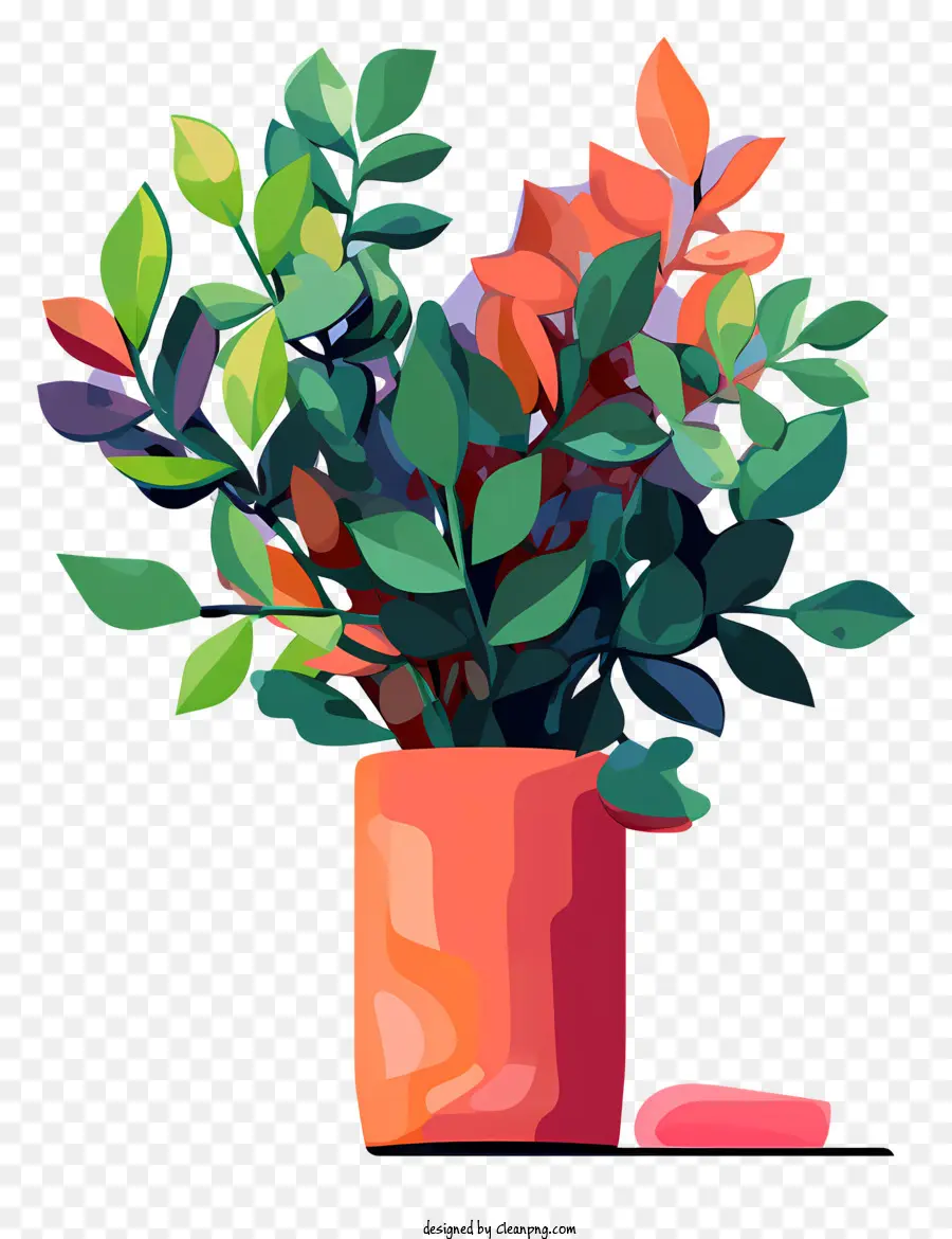 Vaso，Plantas Coloridas PNG