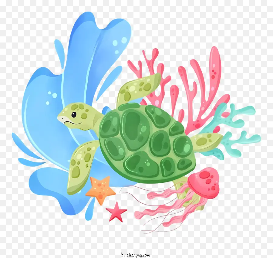 Turtle，Mar PNG